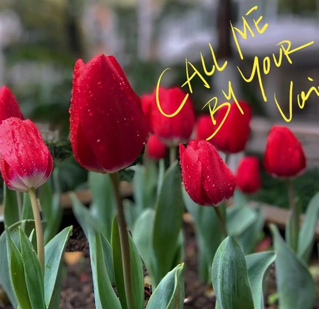 微信图片_20210406134247.jpg 微信图片_20210406134247.jpg